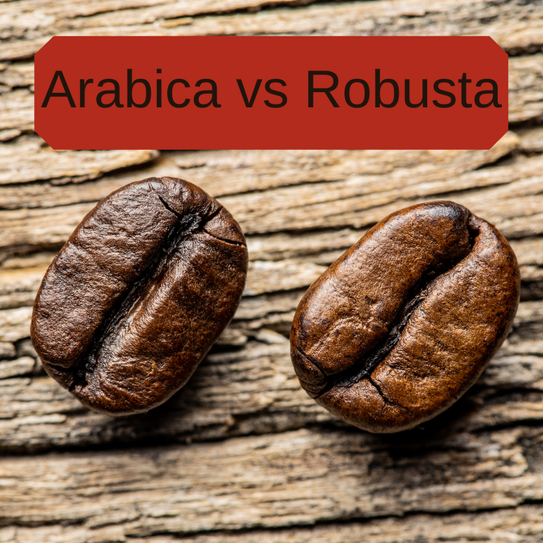 Arabica vs Robusta: What’s the Real Difference?
