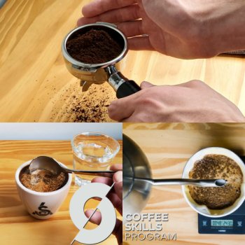 Coffee Fundamentals: Where Every Great Cup Begins