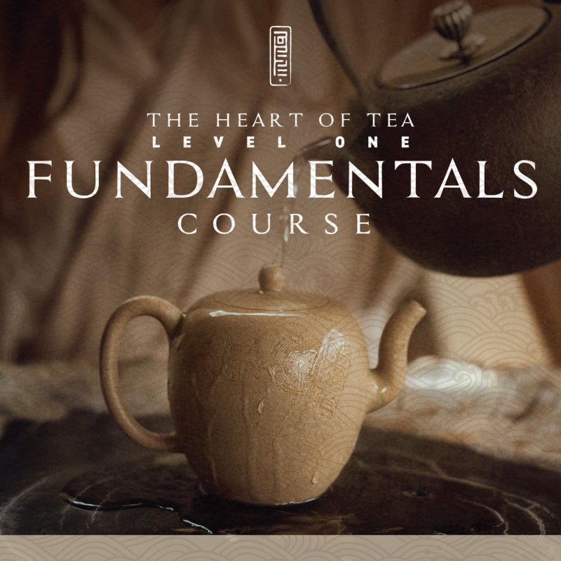 Tea Fundamentals: A Simple Start to a Deeper Craft