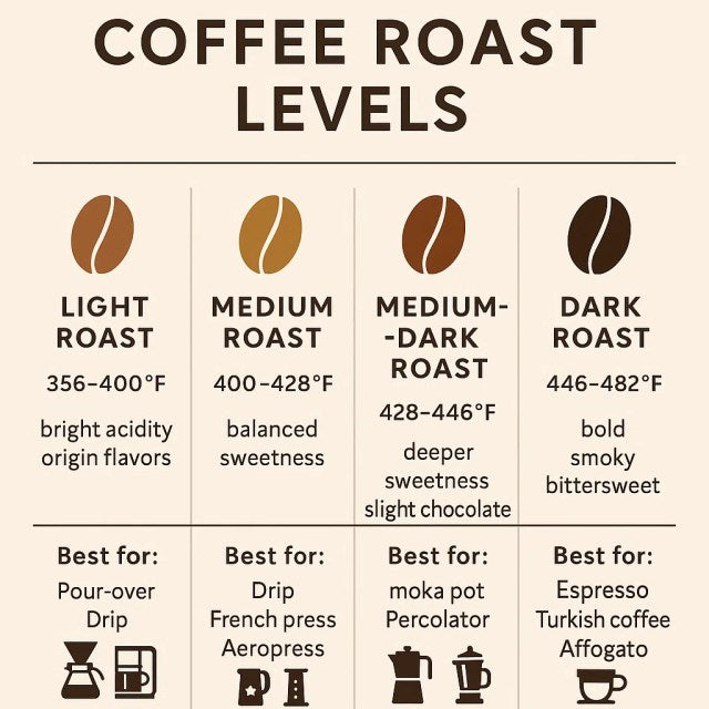 Understanding Coffee Roast Levels (Light, Medium, Dark)
