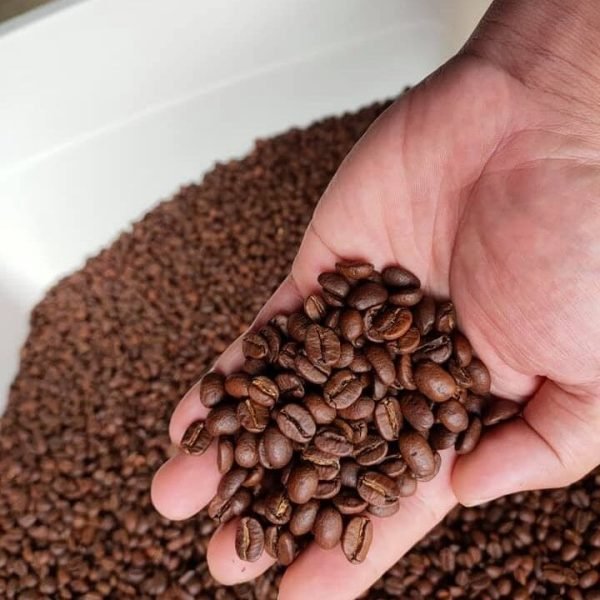 Sourcing & Origins: The Story Behind Every Cup
