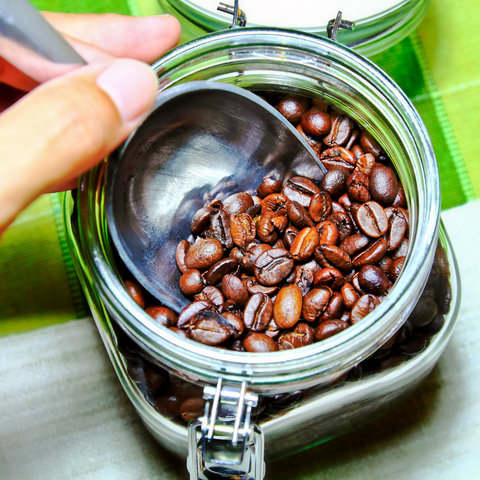 How Fresh Is “Fresh” Coffee?