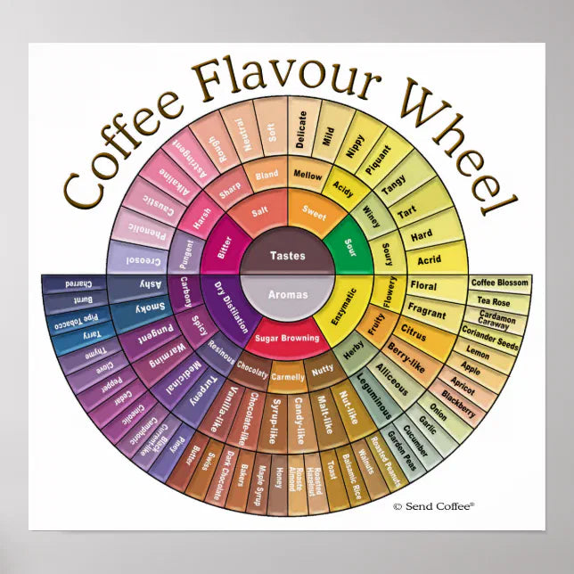 The Coffee Flavor Wheel Explained