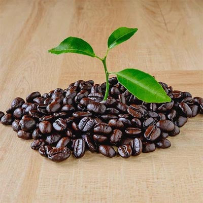 More Than a Cup: The Responsibility Behind Coffee and Tea
